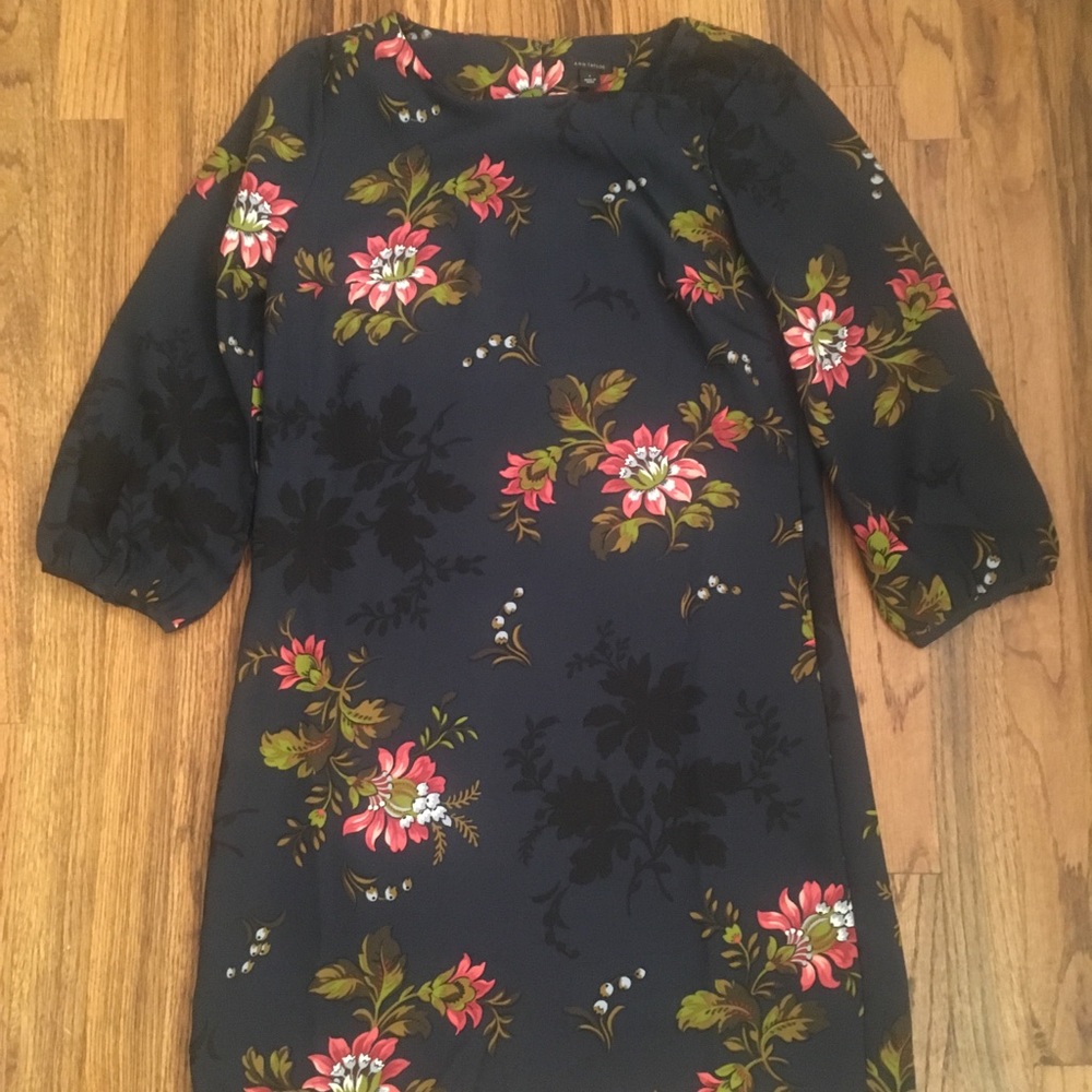 Women’s Ann Taylor Shift Dress 0